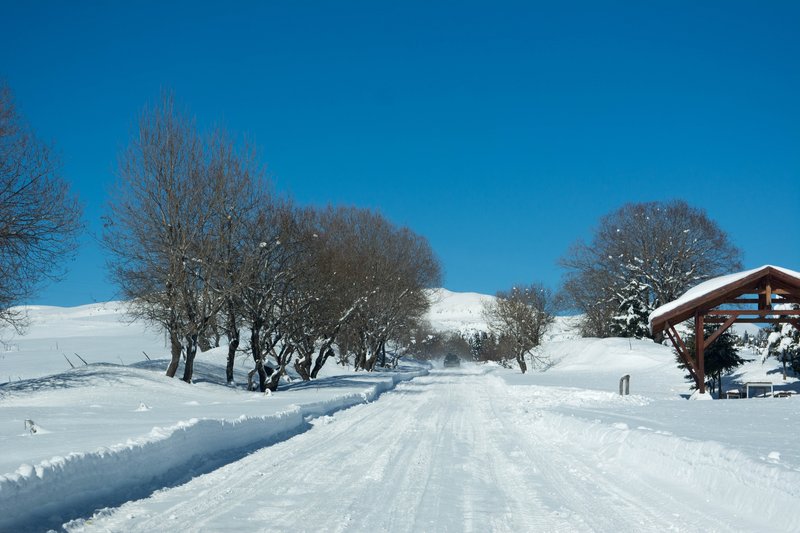 DSC_0456м.jpg