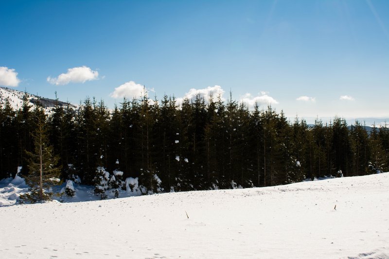 DSC_0464м.jpg