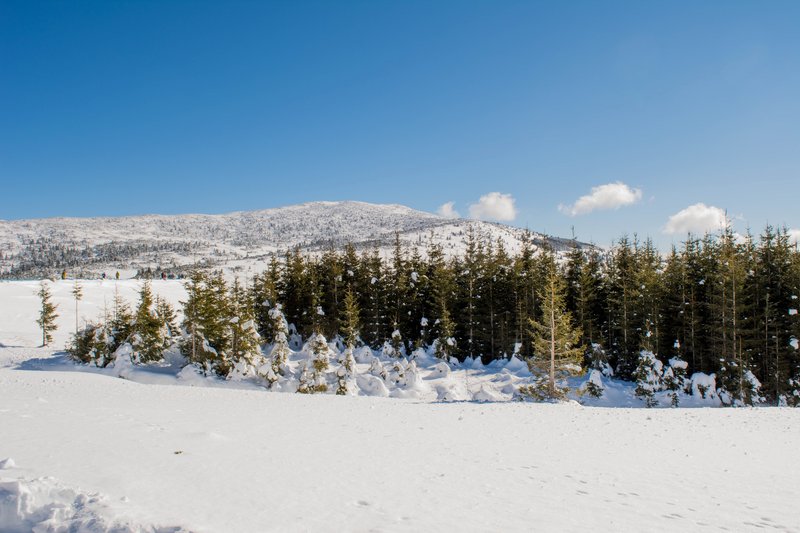 DSC_0466м.jpg