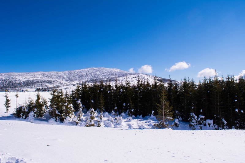 DSC_0467м.jpg