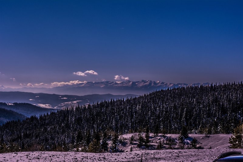 DSC_0479м.jpg