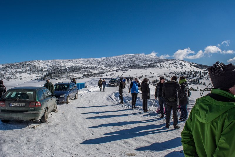 DSC_0485м.jpg