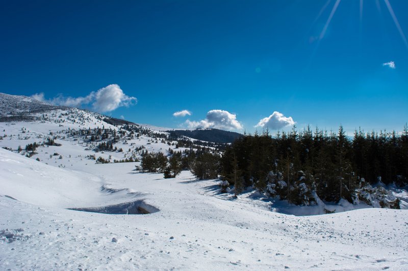 DSC_0505м.jpg