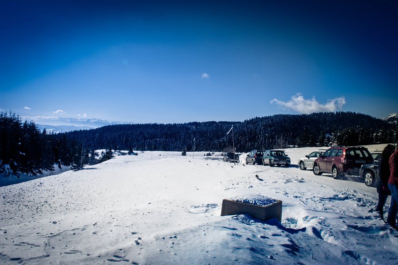 DSC_0506м.jpg