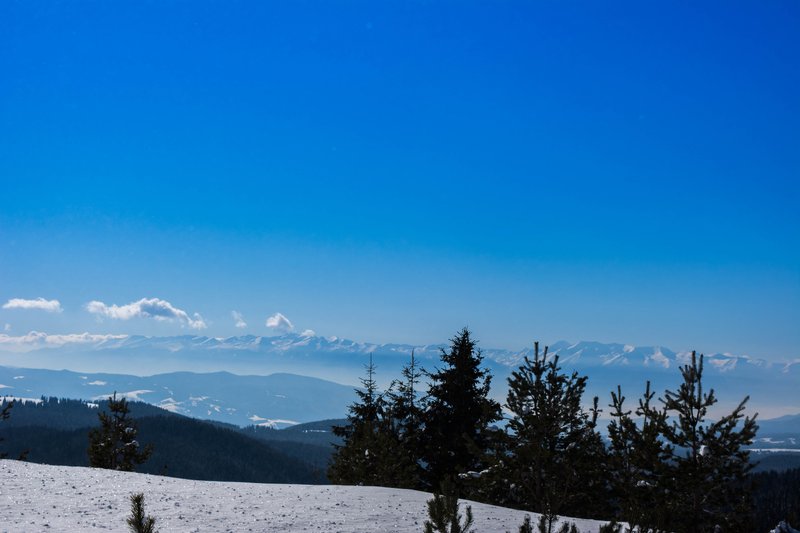 DSC_0534м.jpg