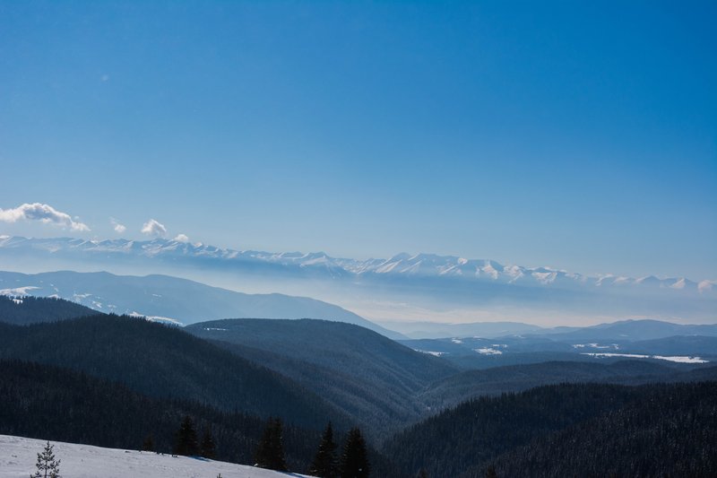 DSC_0539м.jpg