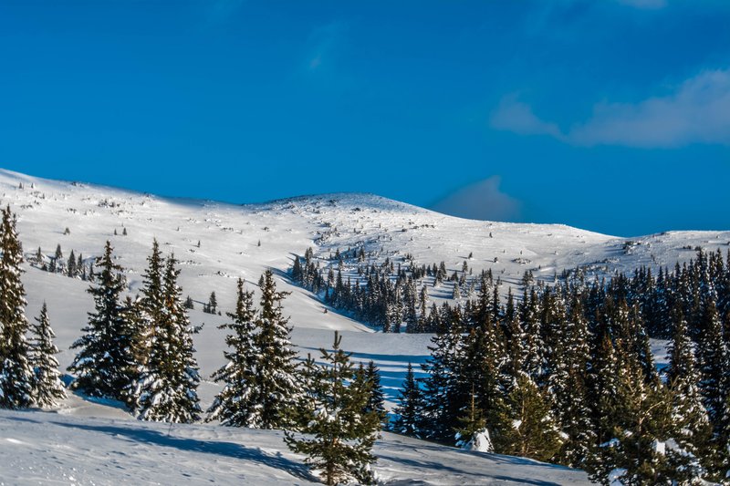 DSC_0567м.jpg