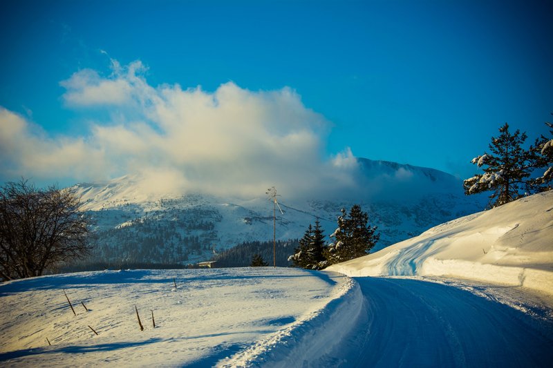 DSC_0615м.jpg