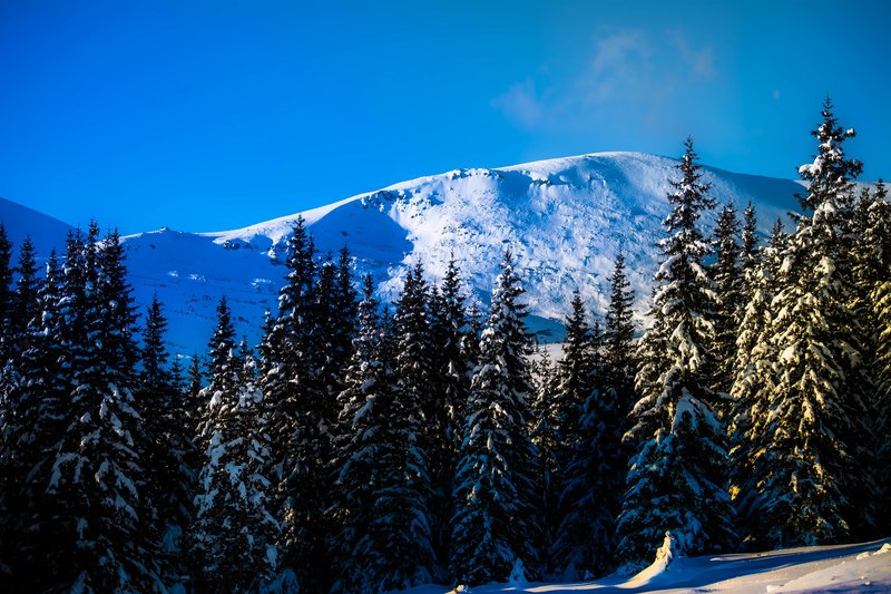 DSC_0621м.jpg