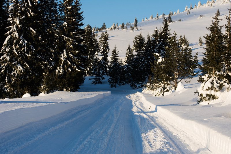 DSC_0625м.jpg