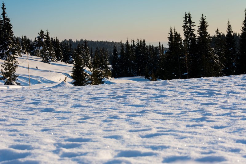 DSC_0628м.jpg