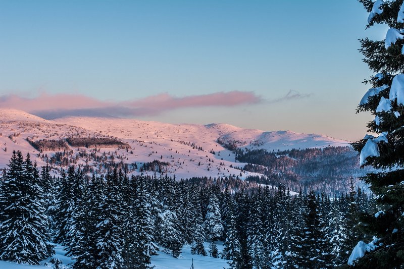 DSC_0681м.jpg