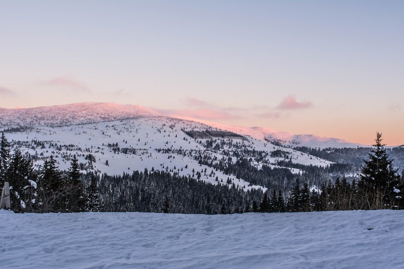 DSC_0684м.jpg