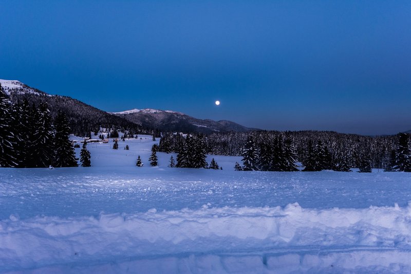 DSC_0711м.jpg