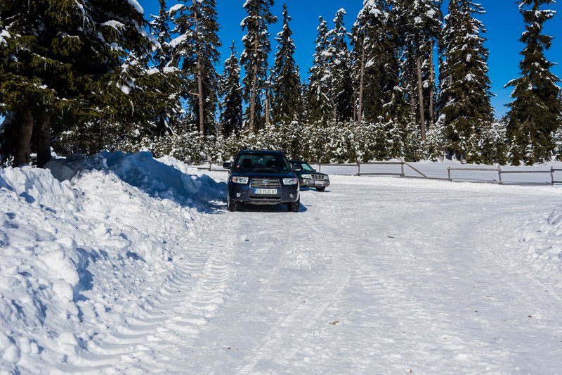 DSC_0732м.jpg