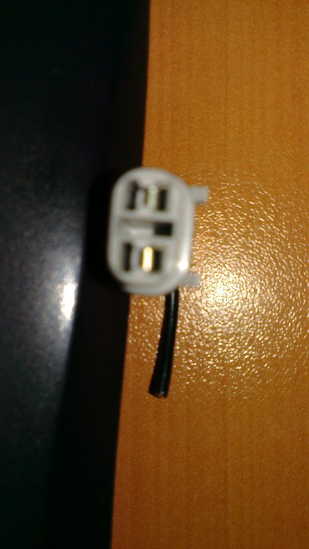 IMAG1697.jpg