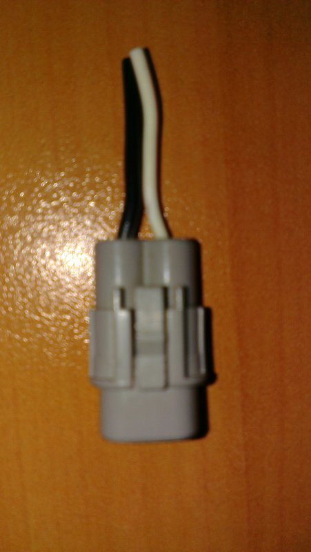 IMAG1696.jpg