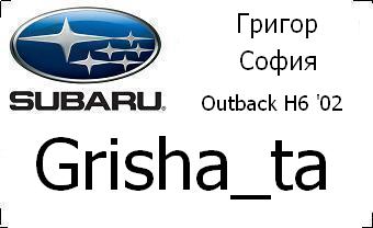 subaru_badg_Grisha_ta_with_car&city.JPG