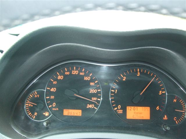 230.jpg