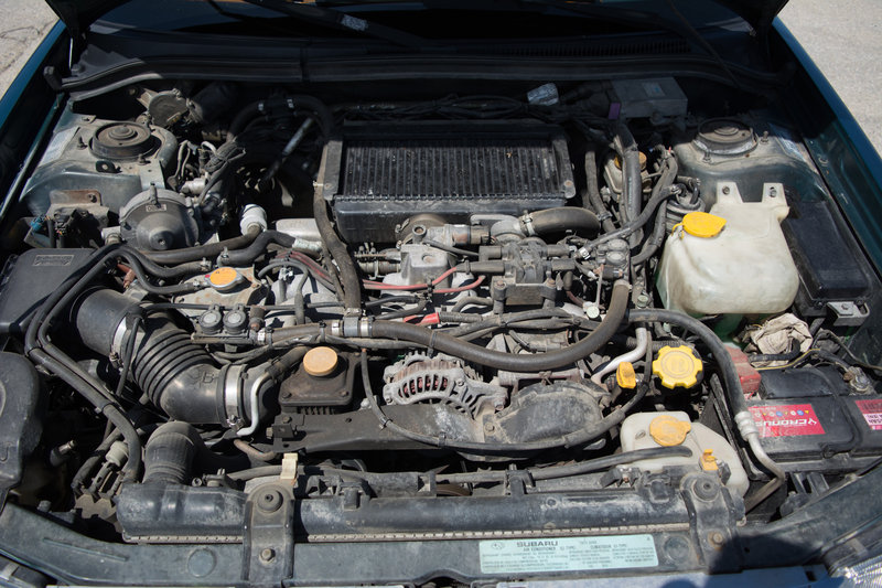 DSC_1115.jpg
