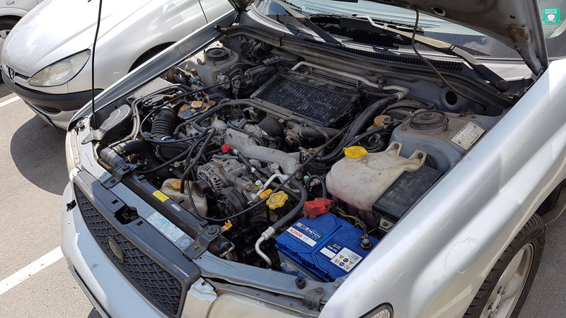 20160524_112410.jpg