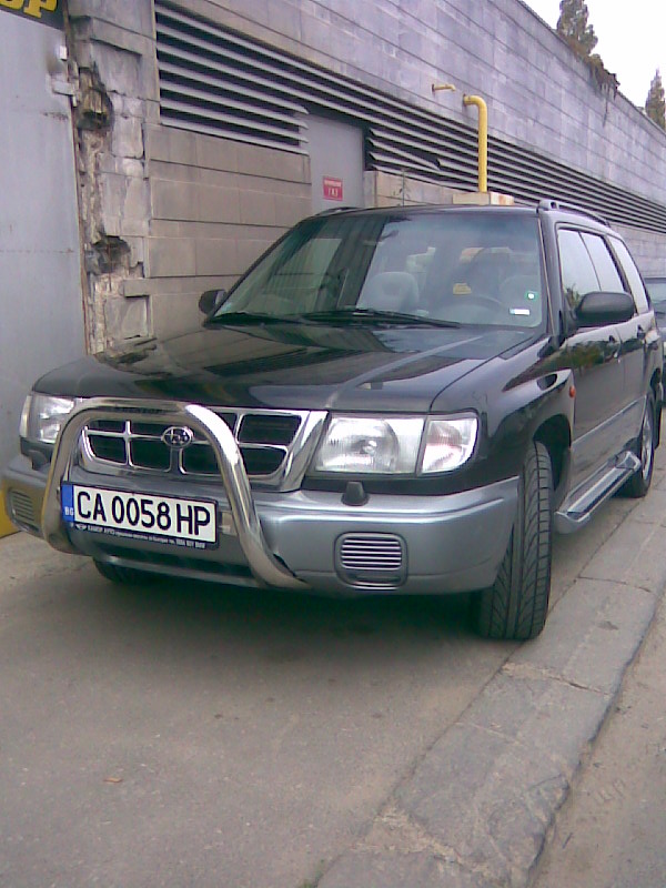 010.jpg