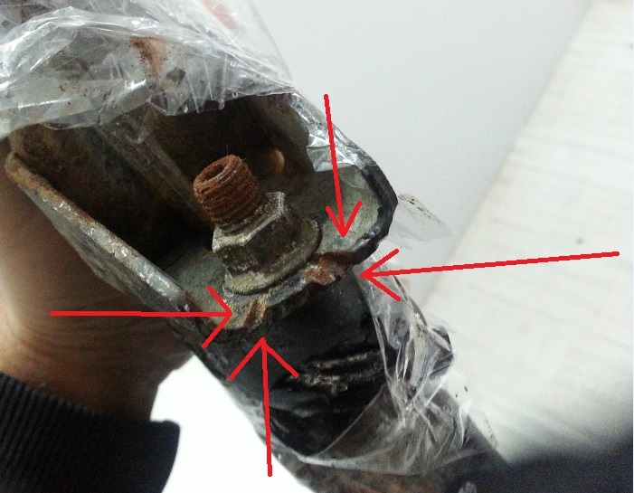 20160603_111014.jpg