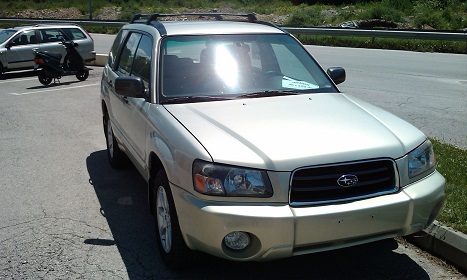 IMAG0243.jpg