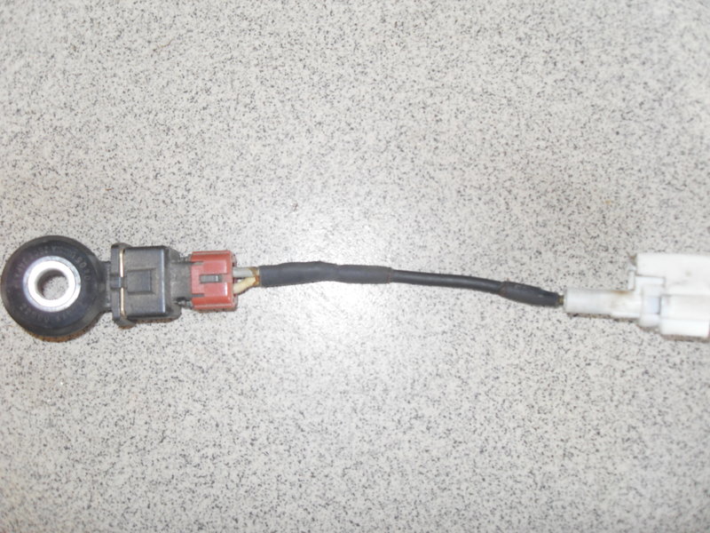 SDC11180.JPG
