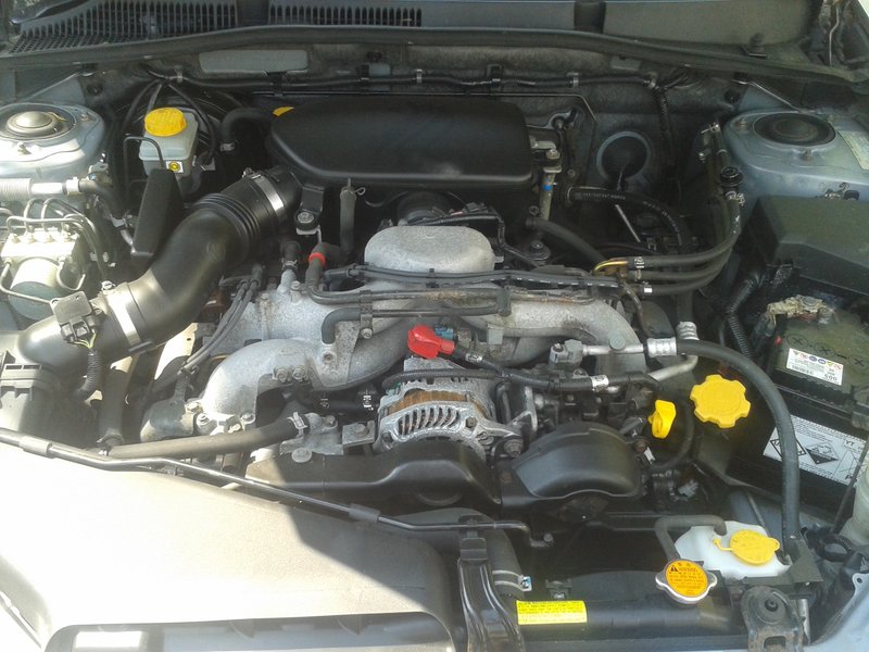 20160831_135457.jpg