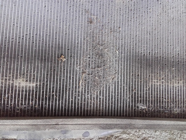 20160730_114721-1.jpg