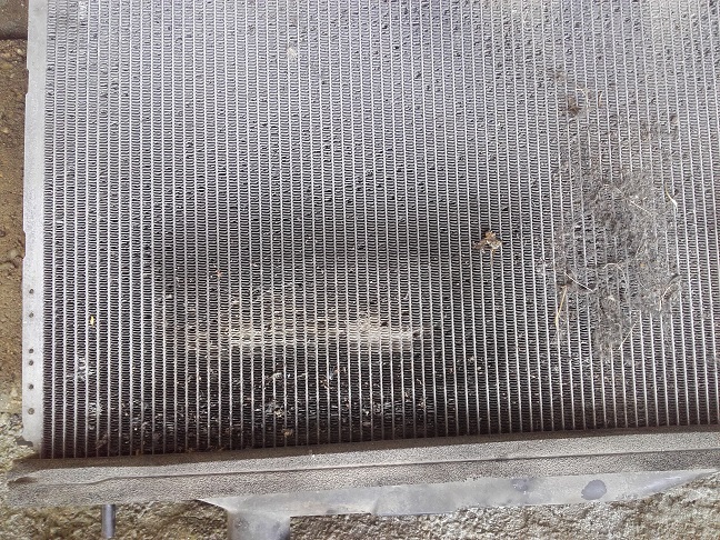 20160730_114728-1.jpg