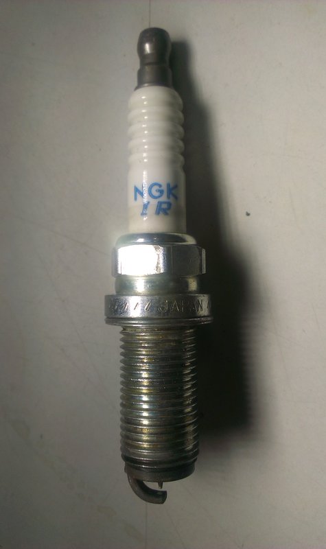 IMAG3888.jpg