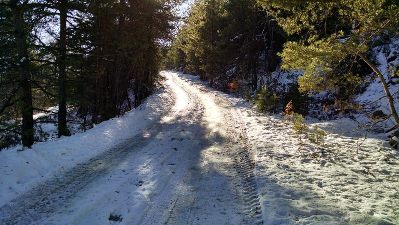IMG_20161203_140856699_HDR.jpg