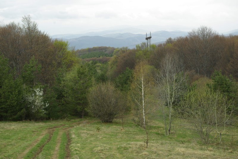 varila-of-03.jpg