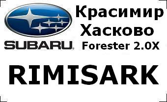 subaru_badg_RIMISARK_with_car&city.JPG