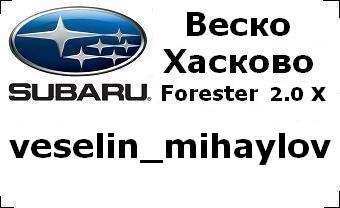 subaru_badg_veselin_mihaylov_with_car&city.JPG