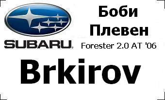 subaru_badg_Brkirov_with_car&city.JPG
