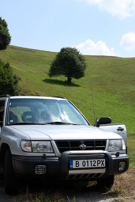 IMG_7671_small.jpg
