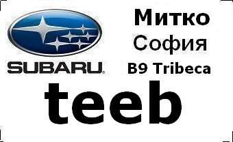 subaru_badg_teeb_car_city.JPG