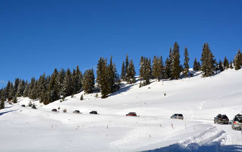 DSC_9049.JPG