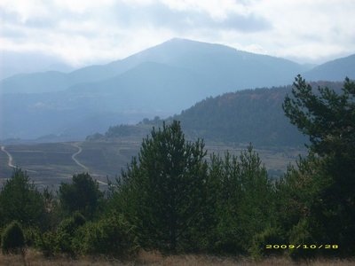 tn_DSCI0027.JPG