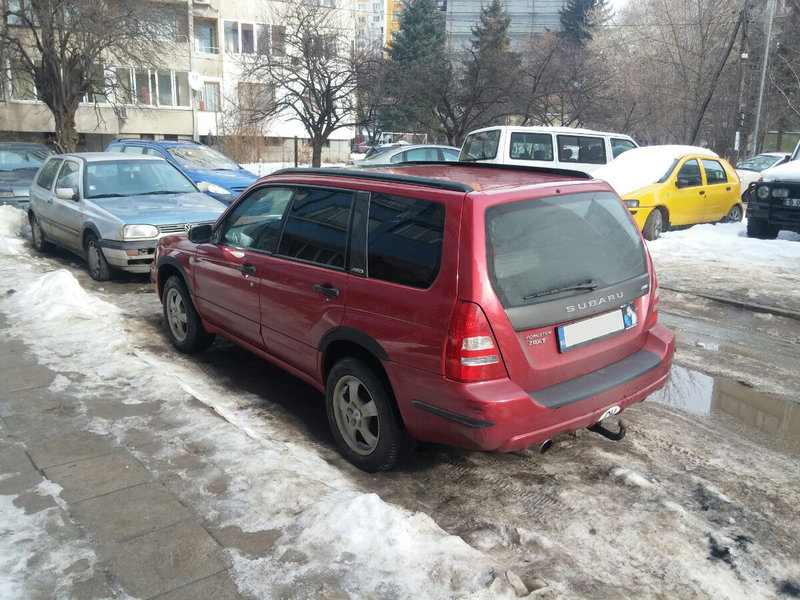 rearish1.jpg