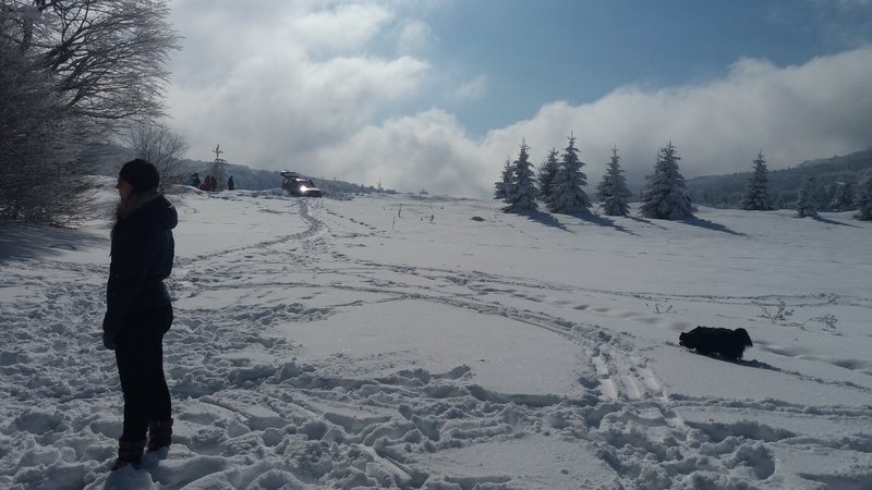 20170211_123211.jpg