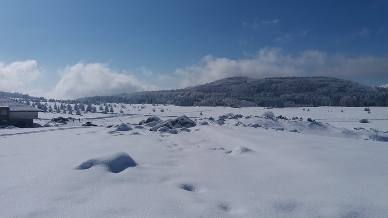 20170211_115835.jpg