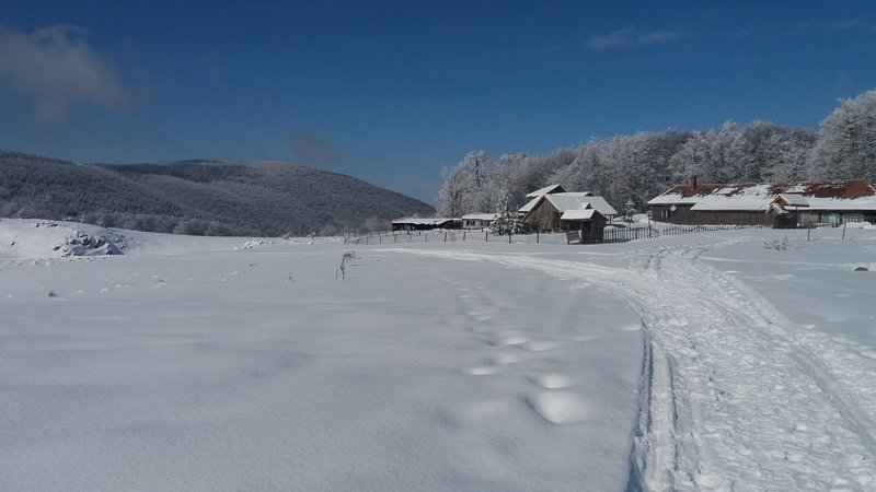 20170211_115832.jpg