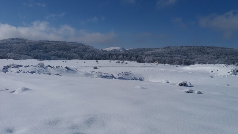 20170211_115829.jpg