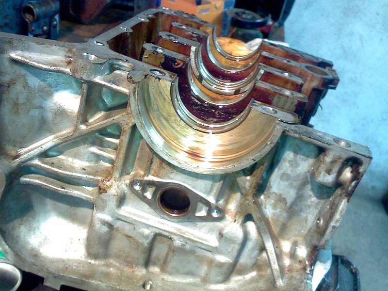 2010-03-23-444.jpg