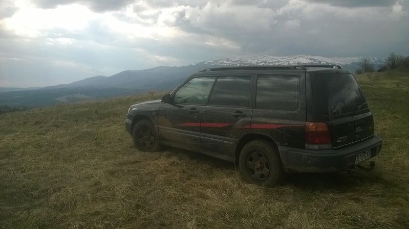 WP_20170413_16_23_37_Pro.jpg