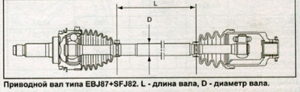poluoska predna.jpg